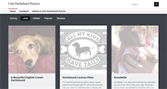 Desktop Screenshot of cute-dachshund-pictures.com